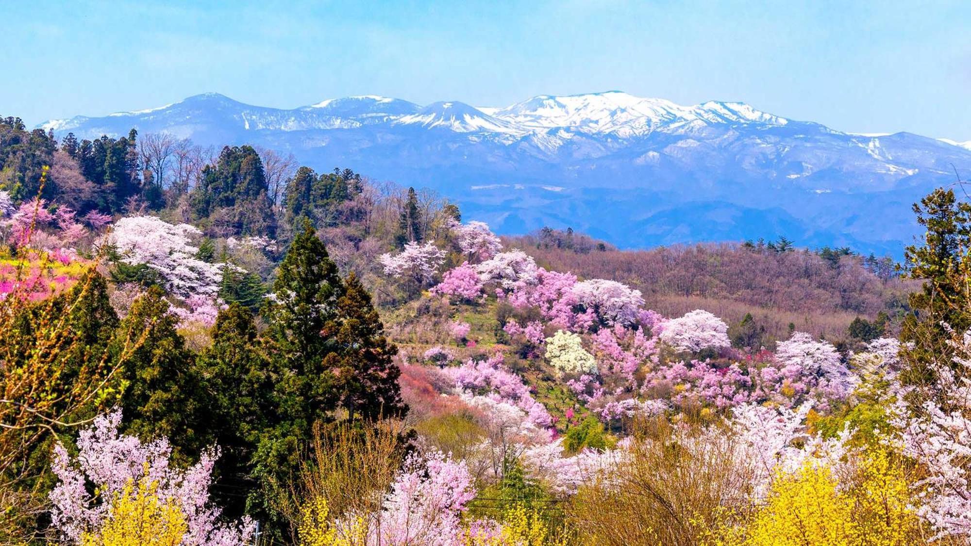 Toyoko Inn Fukushima Eki Nishi Guchi Ngoại thất bức ảnh